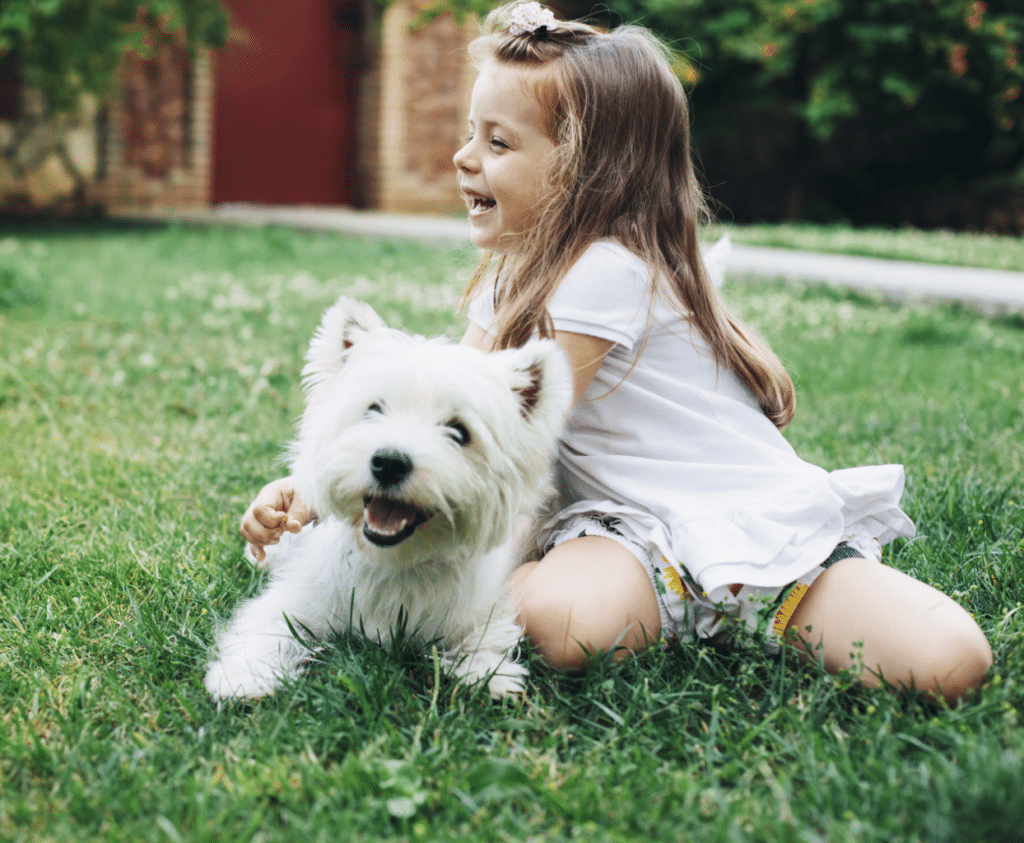 Child playing with white dog